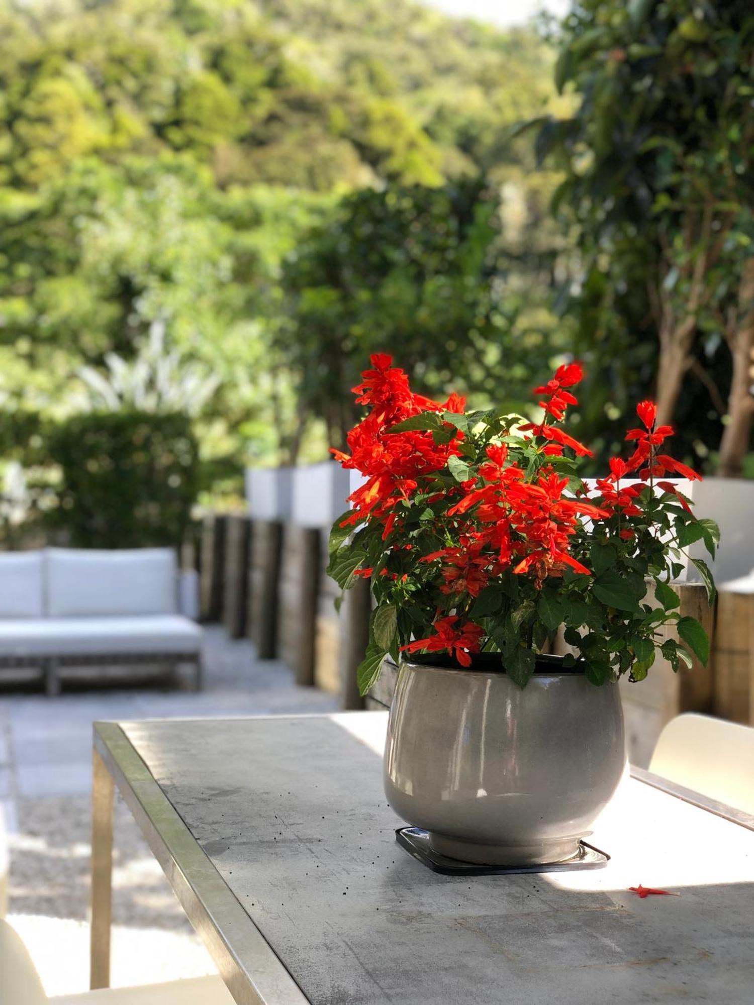 Villetta - Matakana Boutique Luxury Accommodation Luaran gambar